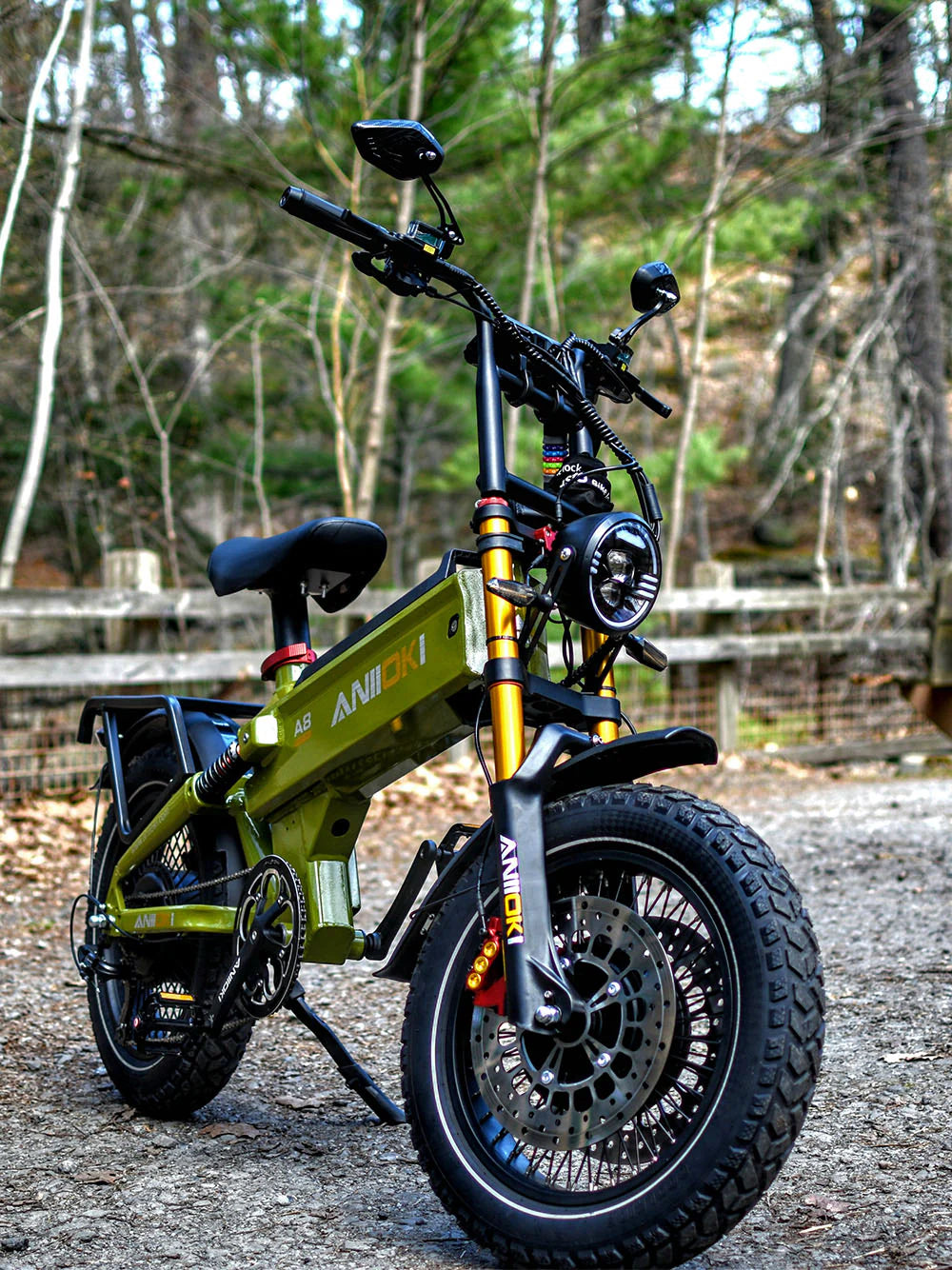 2025 Aniioki A8 Pro Max – 60V Dual Motors & Disc Brakes