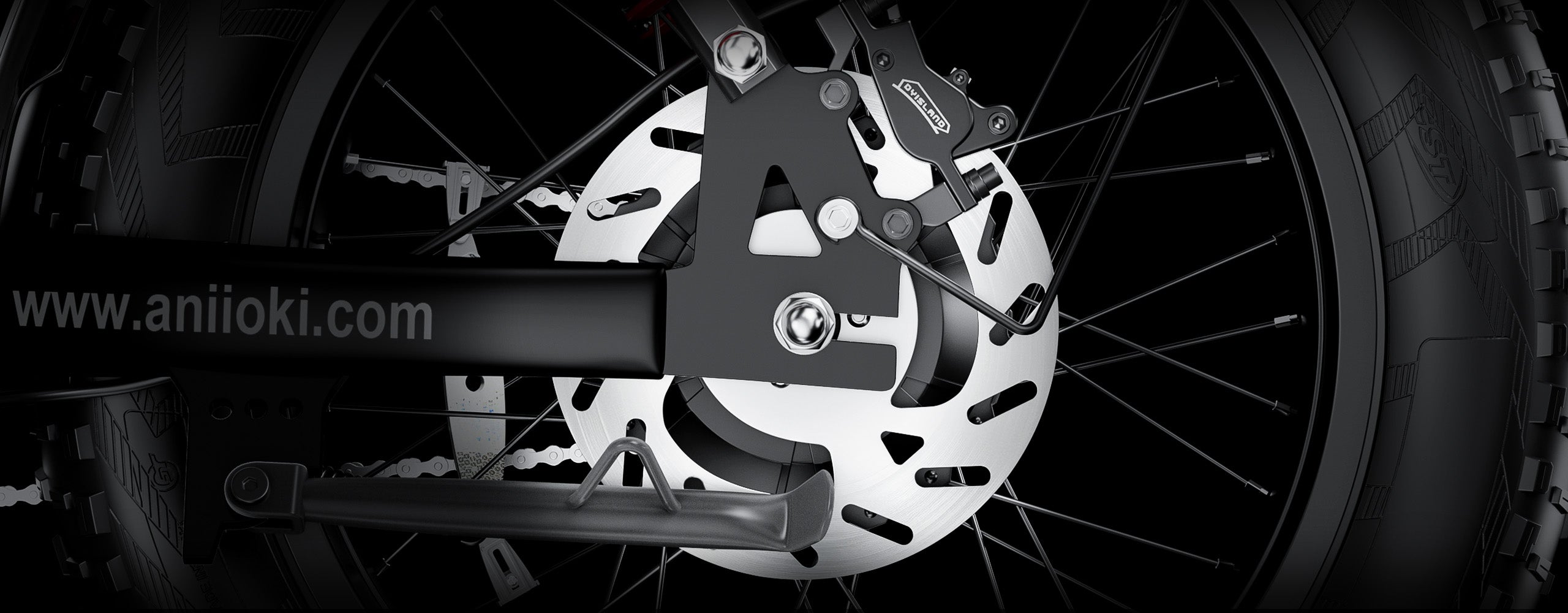 Rear Disc
