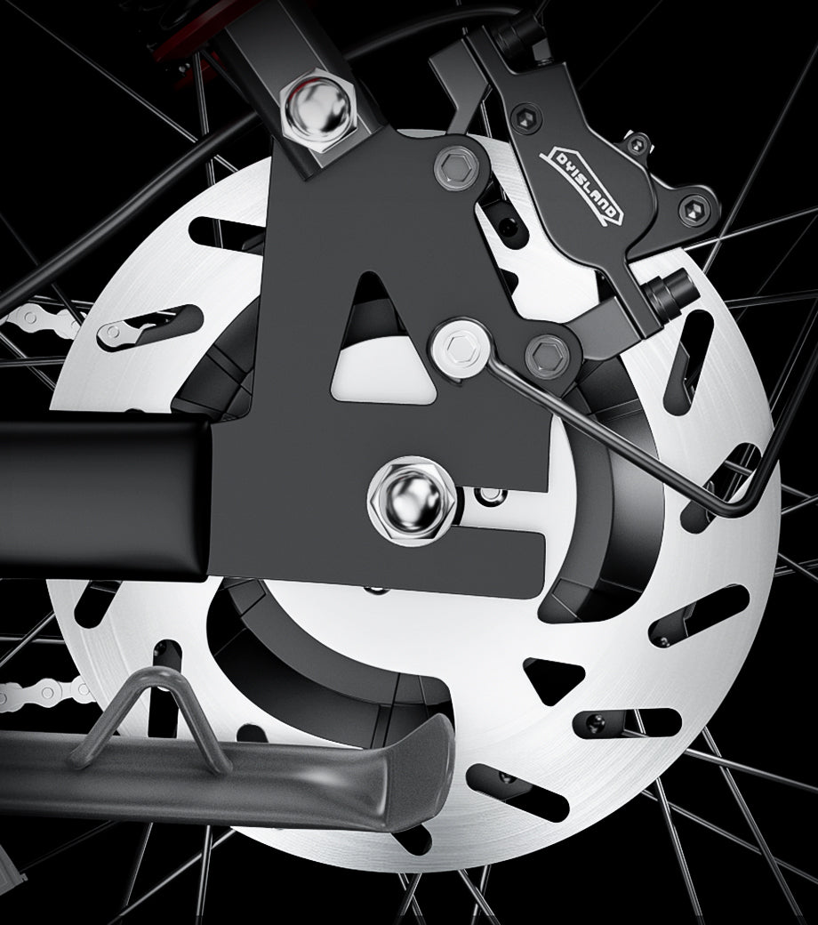 Rear Disc