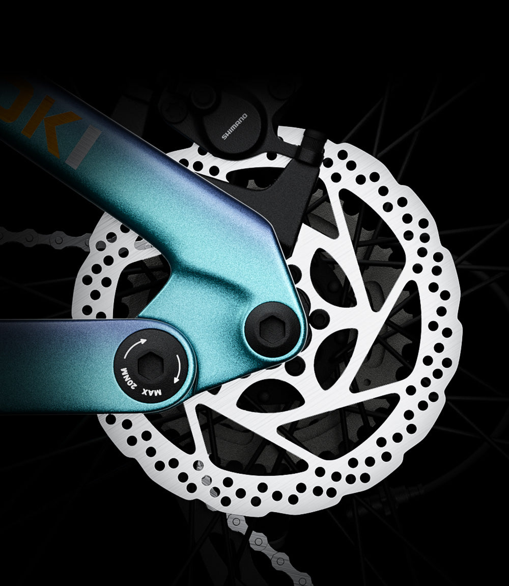 Rear Disc