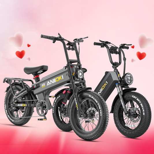 Family Cycling, Double eBike Set