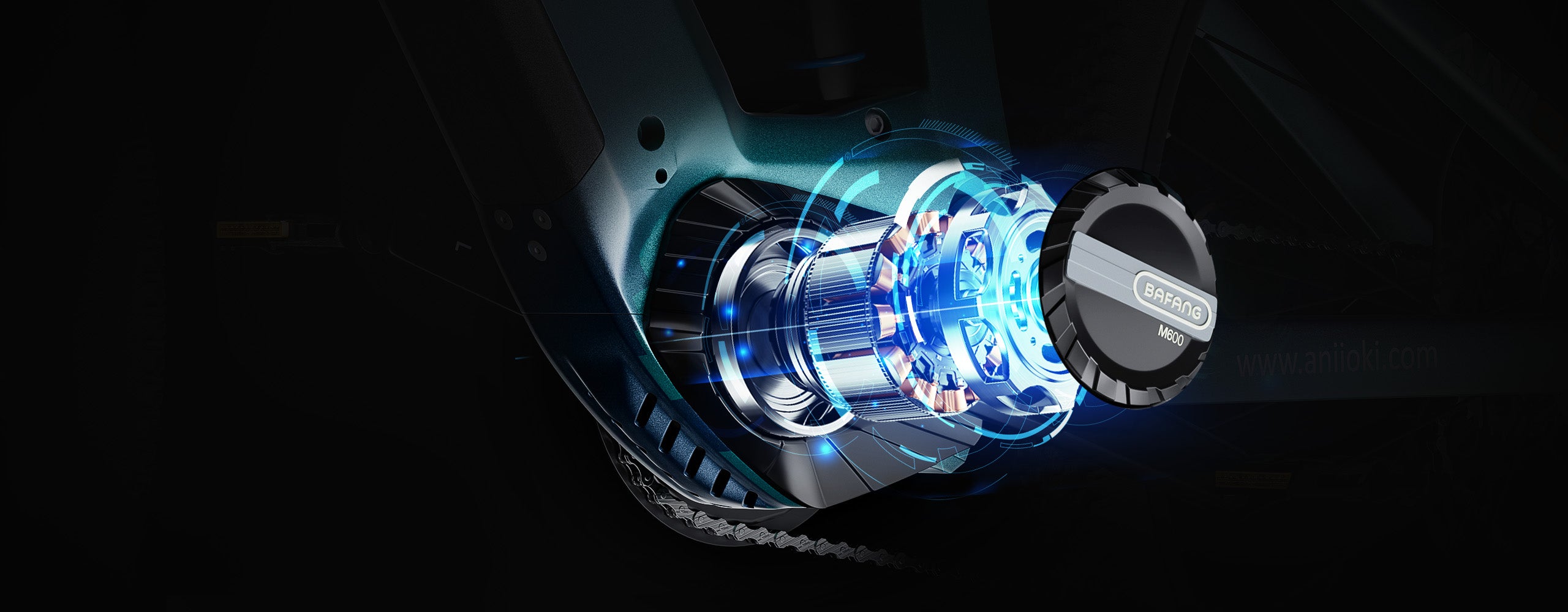 48V Rated Motor