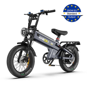 A8 Pro Max eBikes