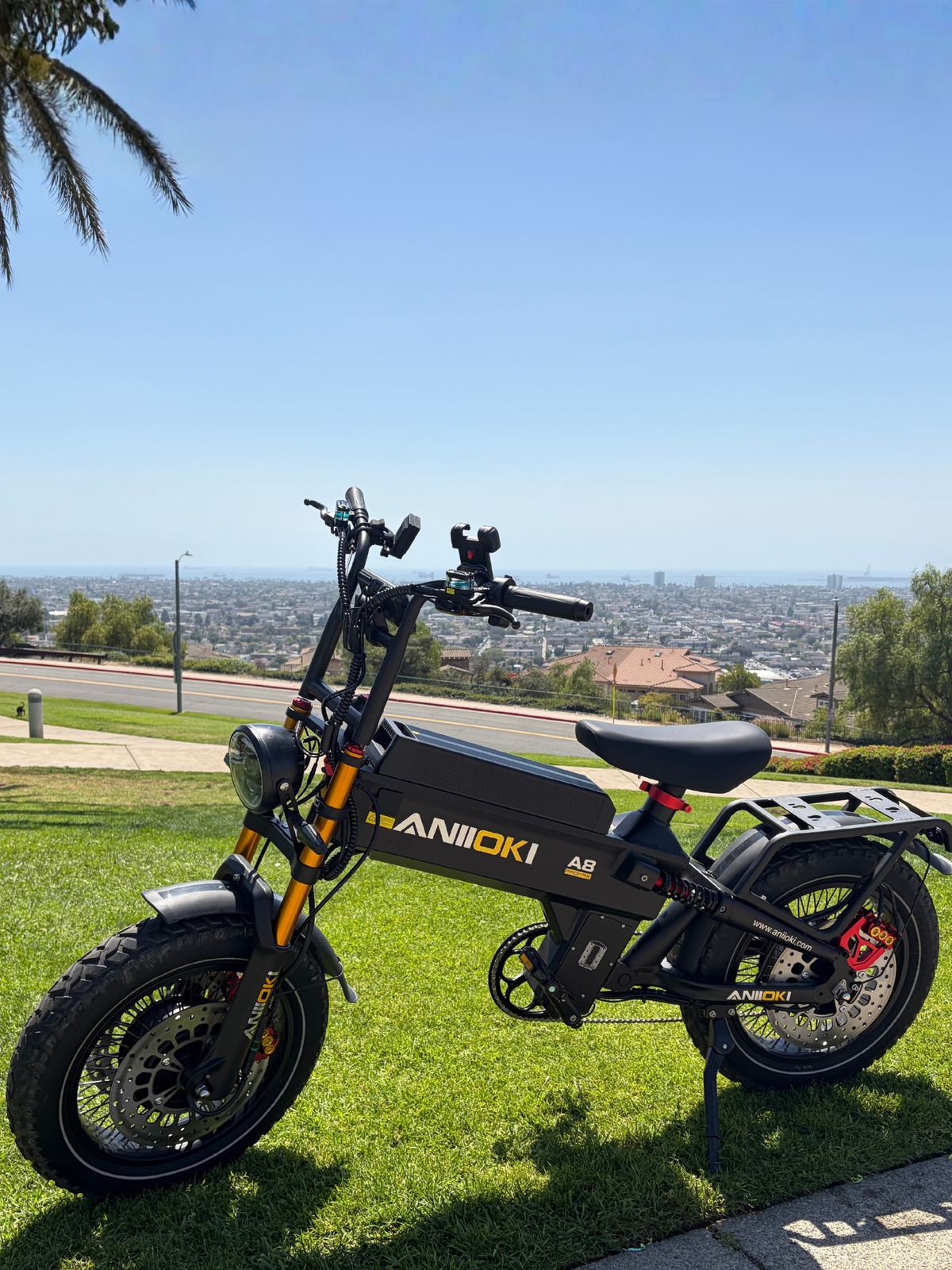 A black Aniioki electric bicycle with orange accents is parked on a grassy hillside with a city skyline and blue sky in the background.
