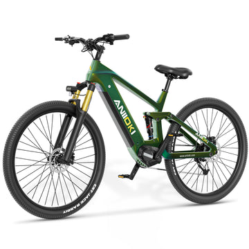 AK29 Fibra di carbonio 48v Ebike