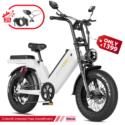 Flash Sale AQ177 Pro Max 60Ah ebike