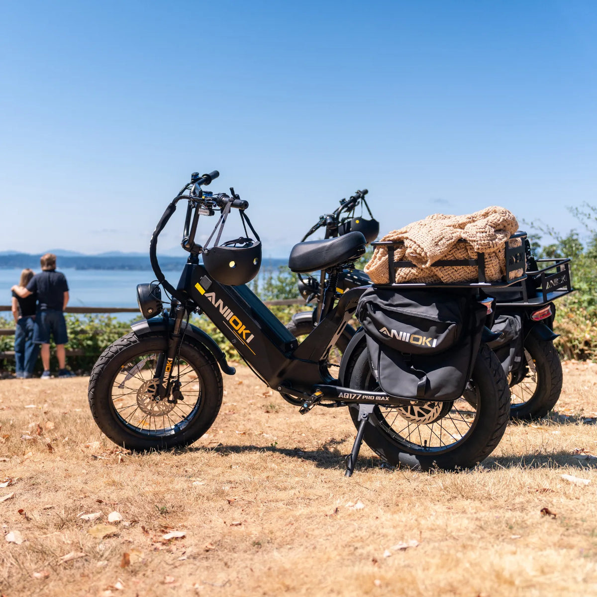 Aniioki Rear Cargo Basket
