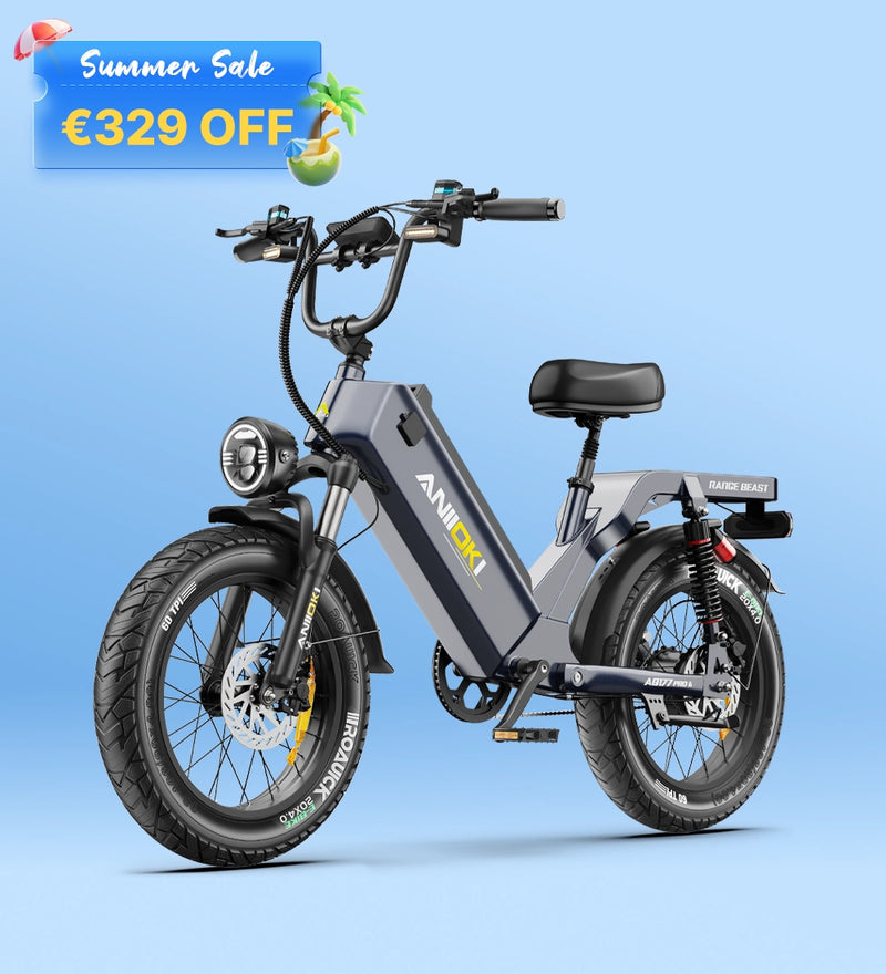 EU ANIIOKI AQ177 Pro Max eBike