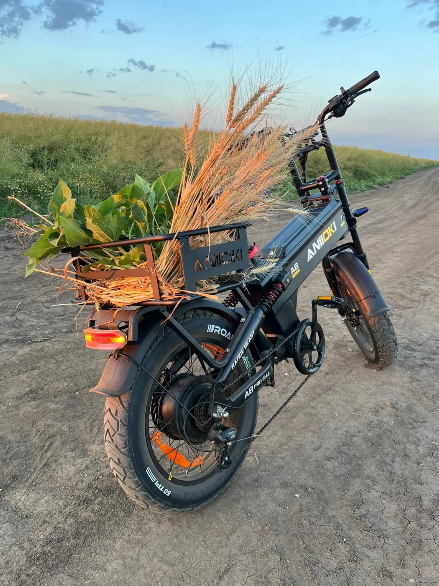 EU ANIIOKI A8 Pro Max eBike (Pre-Order)