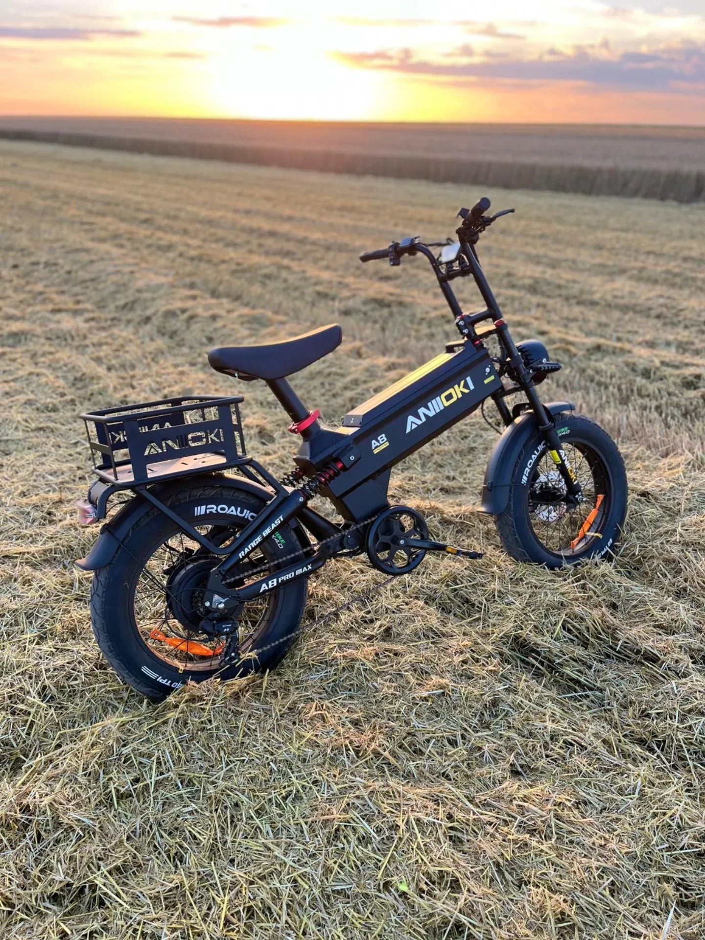 EU ANIIOKI A8 Pro Max eBike (Pre-Order)
