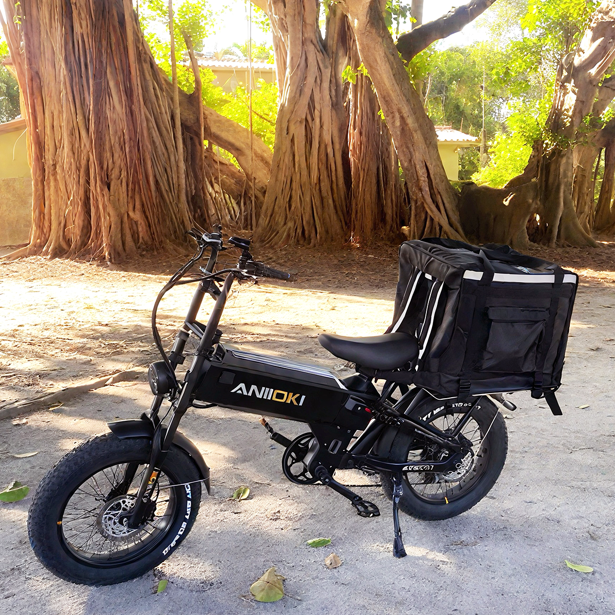 EU ANIIOKI A8 Pro Max eBike with rear basket