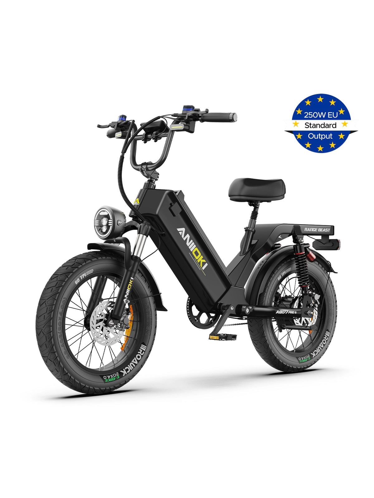 EU ANIIOKI AQ177 Pro Max eBike(2026) - 48V 60AH(250W) - Black