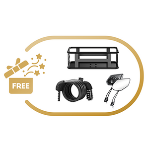 🎁 Prime Day Early Access Sale Gift Pack – Food Delivery Rack (€162 Value, A8 Dual Motor 52V Only)