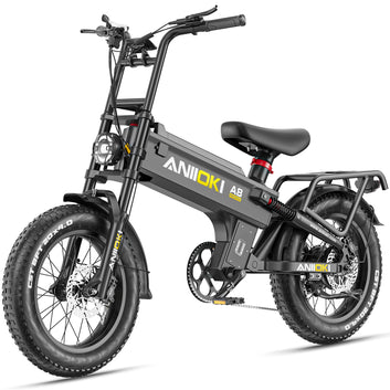 A8 Pro Max 52V eBike*2