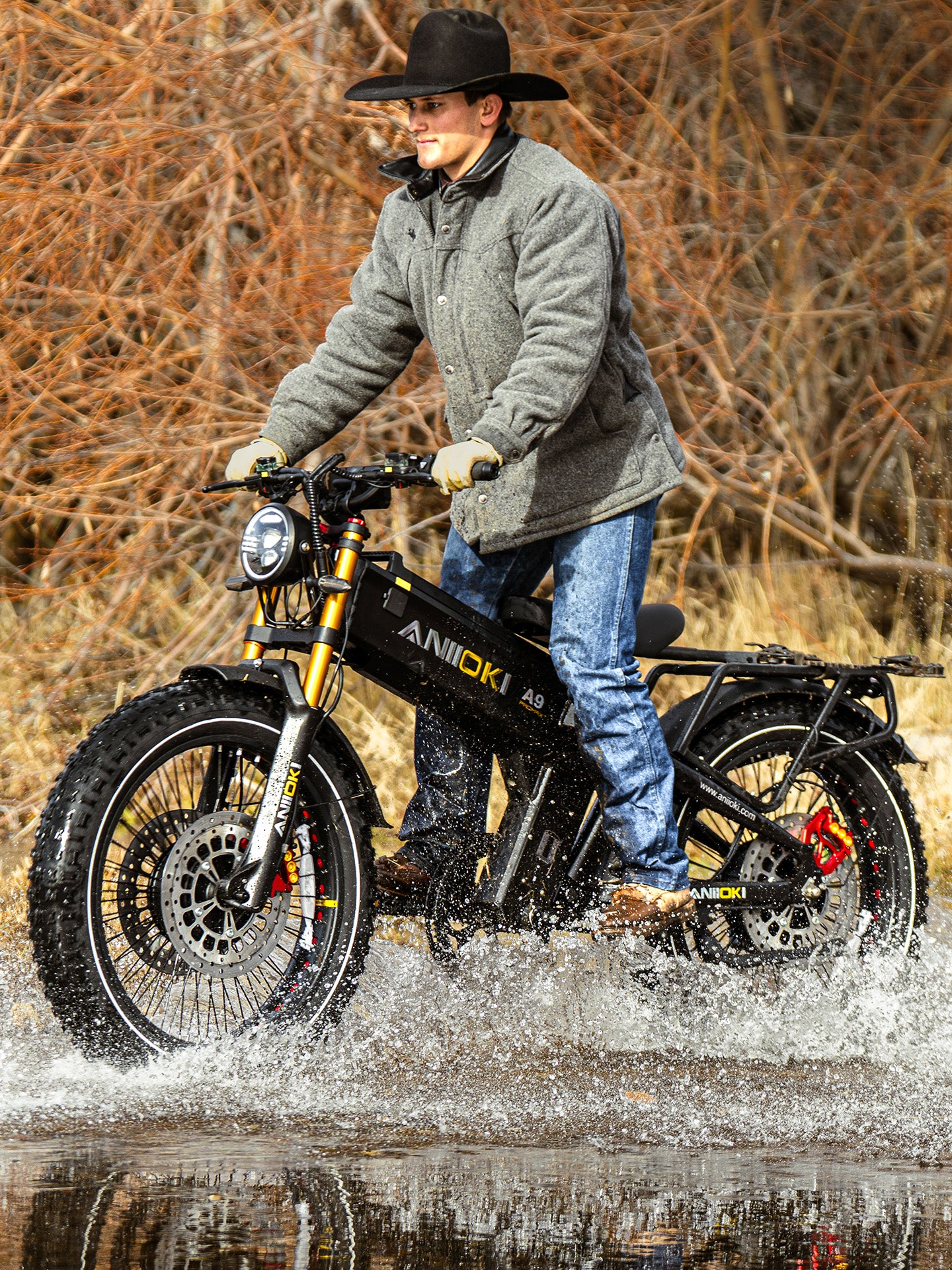 ANIIOKI A9 Pro Max GT eBike
