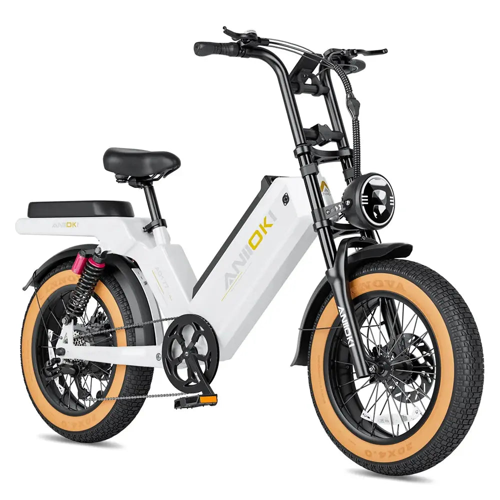 20 X 4.0” Wall Off Road Fat Tire Aniioki