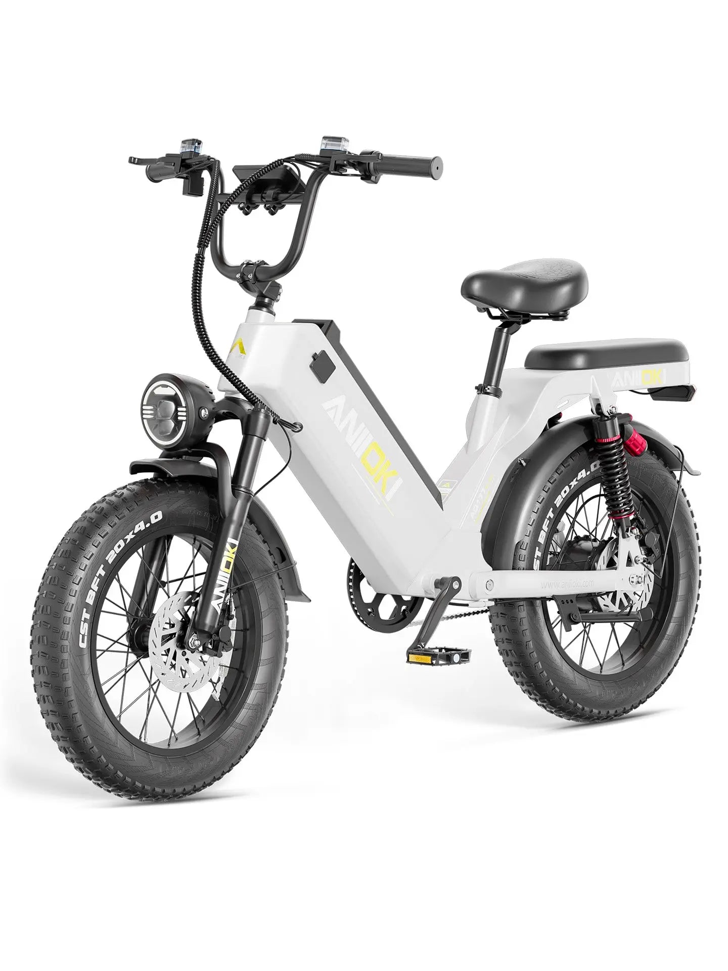 ANIIOKI  AQ177 Pro Max eBike