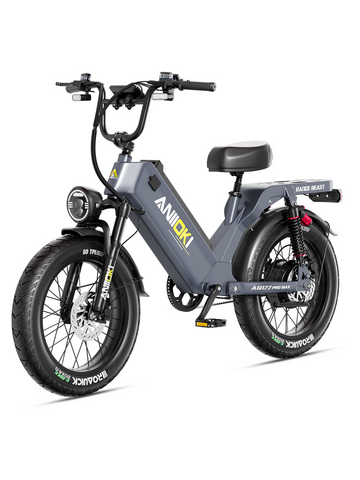 EU ANIIOKI AQ177 Pro Max eBike(2026)