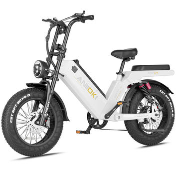 Flash Sale AQ177 Pro Max 60Ah ebike