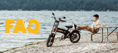 faqs