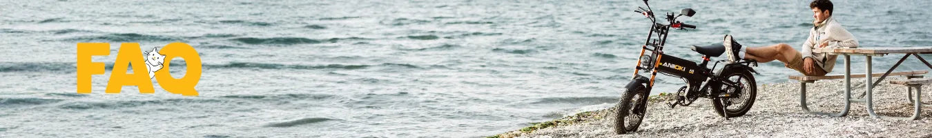 faqs